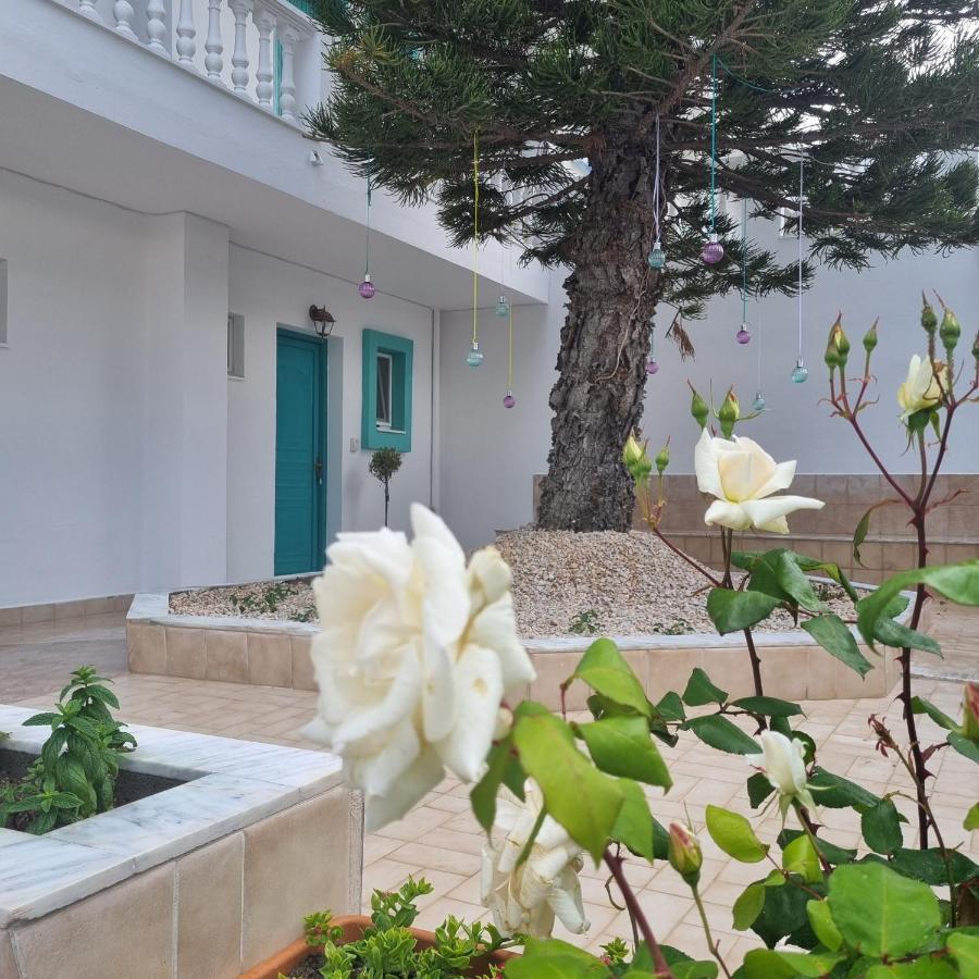 Arocaria - Faliraki Peaceful Apartments Ngoại thất bức ảnh