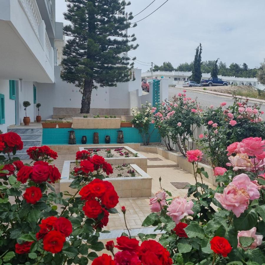 Arocaria - Faliraki Peaceful Apartments Ngoại thất bức ảnh